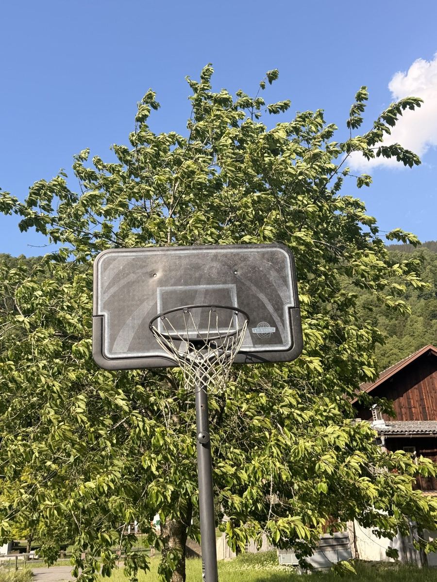 Basketballkorb im Garten der familienfreundlichen Ferienwohnung Schruns